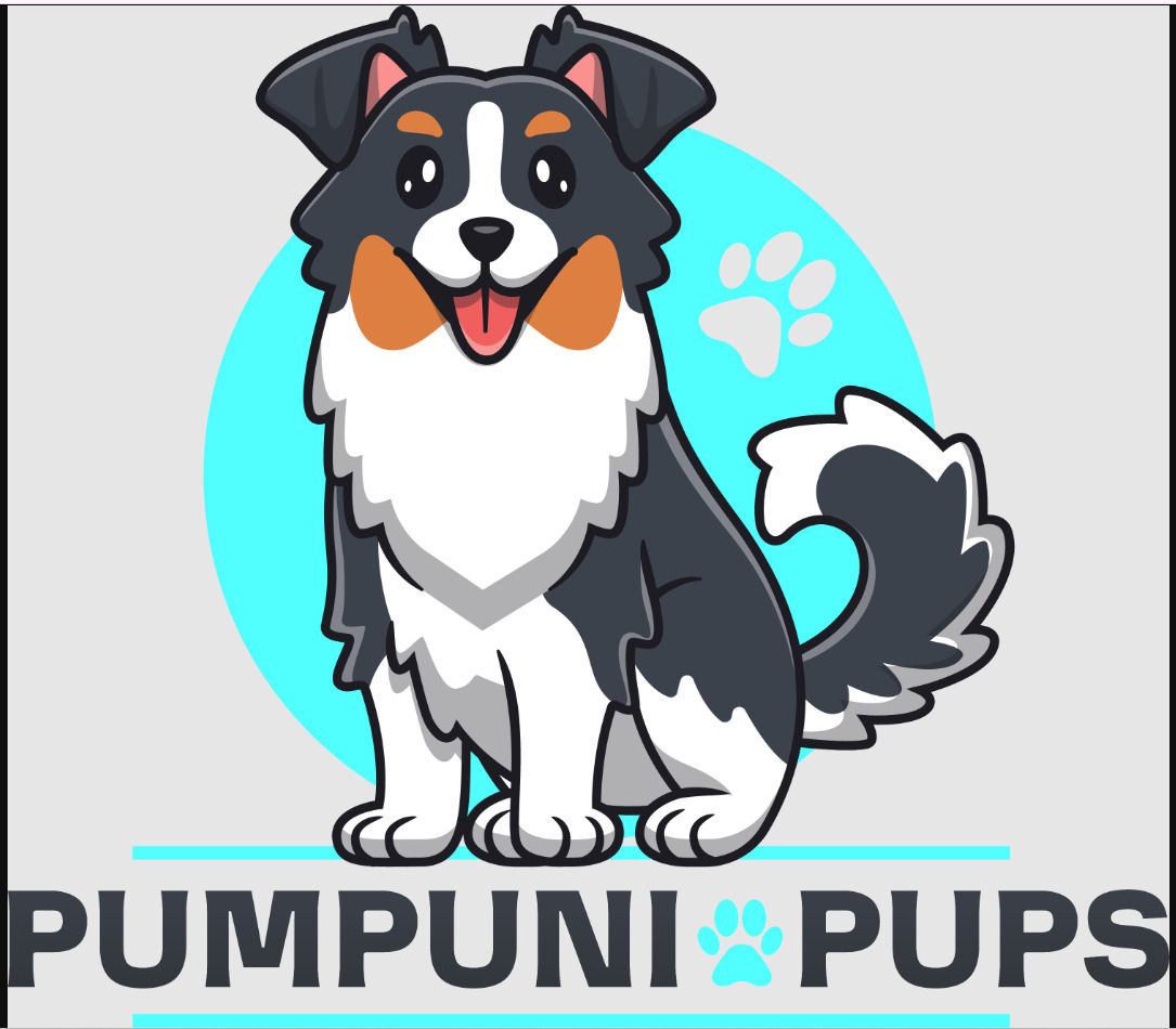 Pumpuni Pups